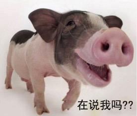 猪肝移植给人类器官有成功的吗,人类首例猪肝移植术