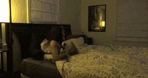 为什么猫被视为辟邪与招财,猫自卫能力