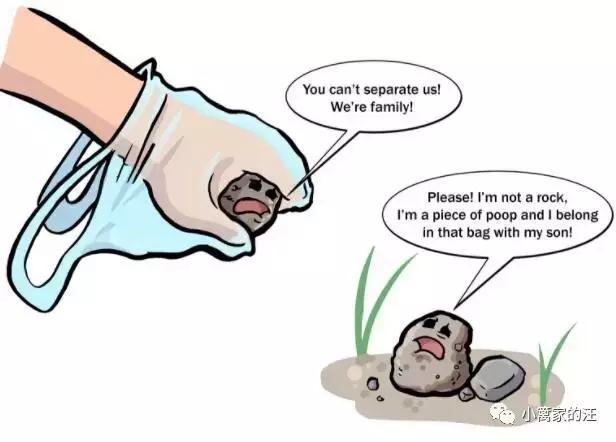 今天我们聊聊狗屎吧！