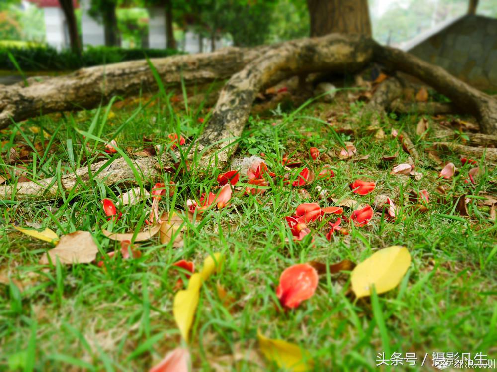 松下gf9可以自拍吗,带女朋友旅游拍照相机推荐