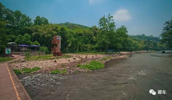 36元起！端午和陈柏霖、林依晨探索高山林海秘境，竹海漫步！