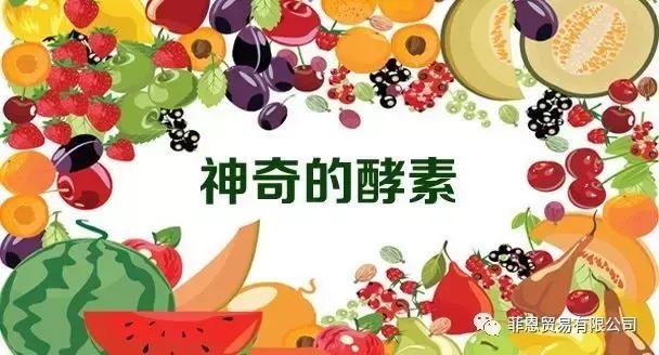 酵素对哪些疾病有作用,酵素预防癌症