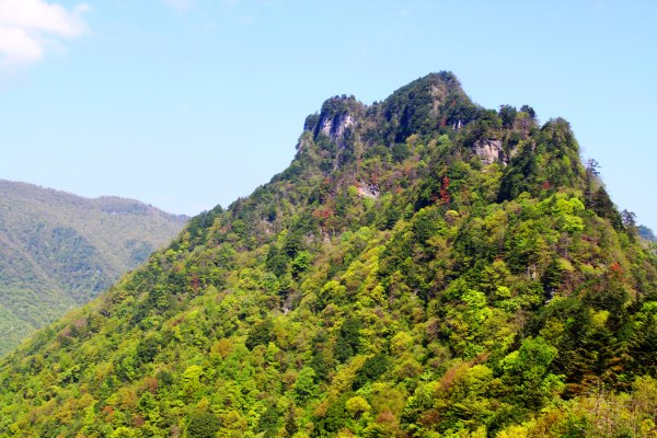 神农架有几个洞,神农架有一个神秘的深谷