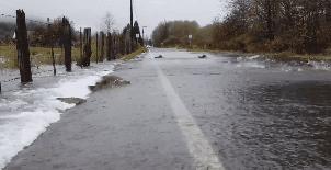 我书读得少你别骗我啊,我还从没见过打吊针打屁股上的