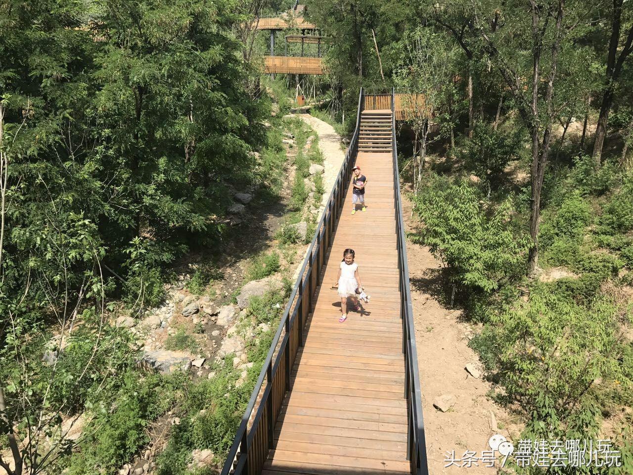 一次薰衣草之旅是如何变成采摘农家乐的?