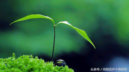 如何处理好和室友之间的关系,跟室友相处注意事项