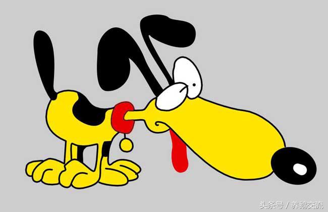 十二生肖狗属相婚配表,82年属狗婚配禁忌属相