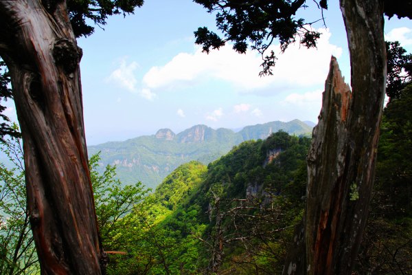 神农架有几个洞,神农架有一个神秘的深谷
