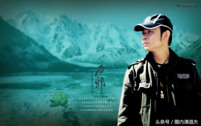 娱乐圈大姐大的有哪些,娱乐圈中的大姐大