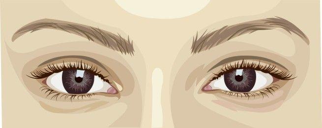 心理学家总结十种心理弱点,心理学家眉毛