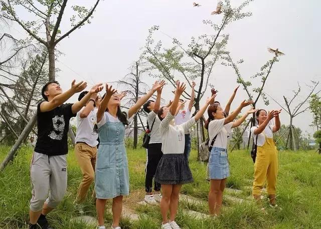 这一批小云雀的命运：有人捉住它们，有人救助它们，今天被放生