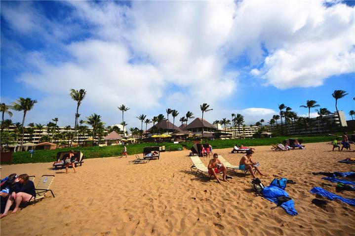 骨灰级探险视频,水上运动场夏威夷maui岛浮潜