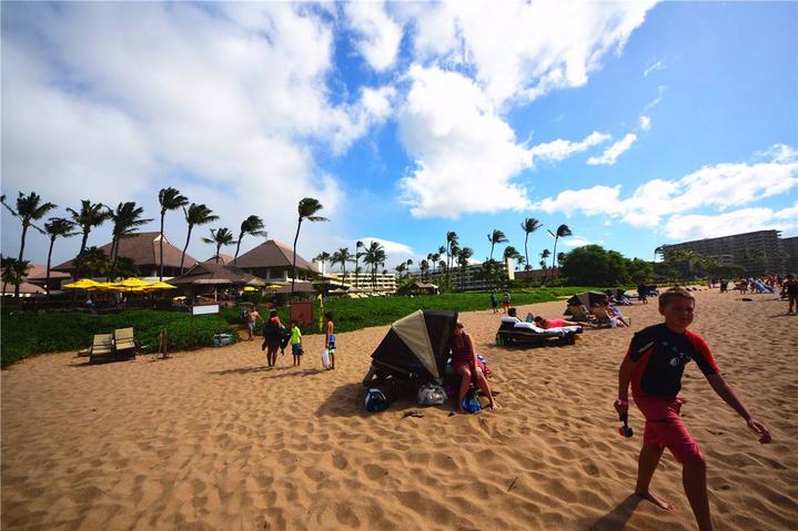 骨灰级探险视频,水上运动场夏威夷maui岛浮潜