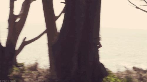 夜跑夜美丽（下）