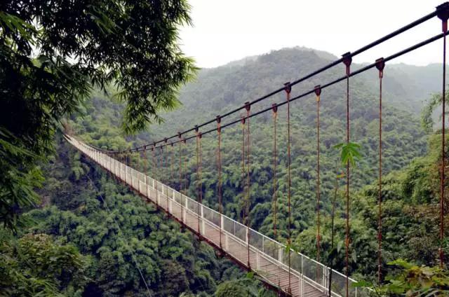 成都周边免费森林自然景点,成都森林避暑好去处