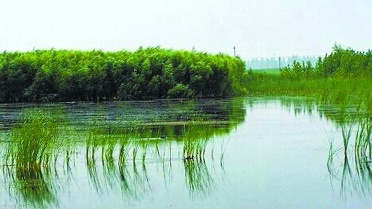 京城10个湿地公园：城区郊区、东西南北都有，总有一个适合您！