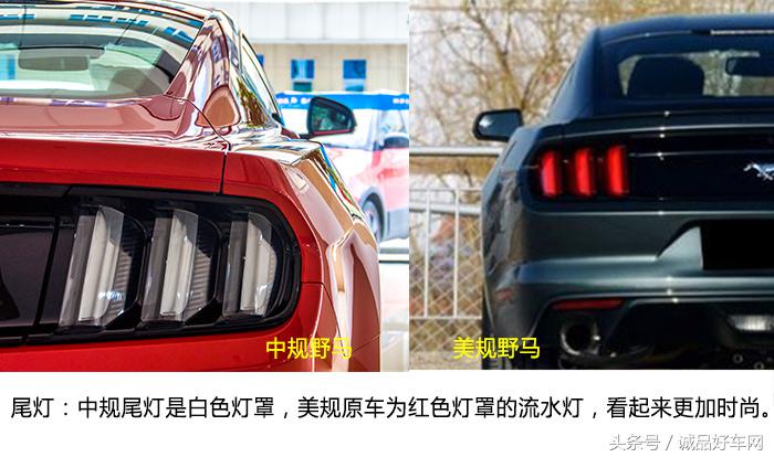 没有奔跑在草原的野马，成了男人心口的朱砂痣