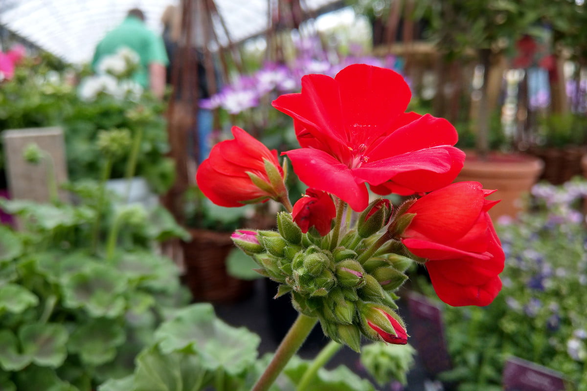 日版htcu11详细参数,htcu11plus深度评测