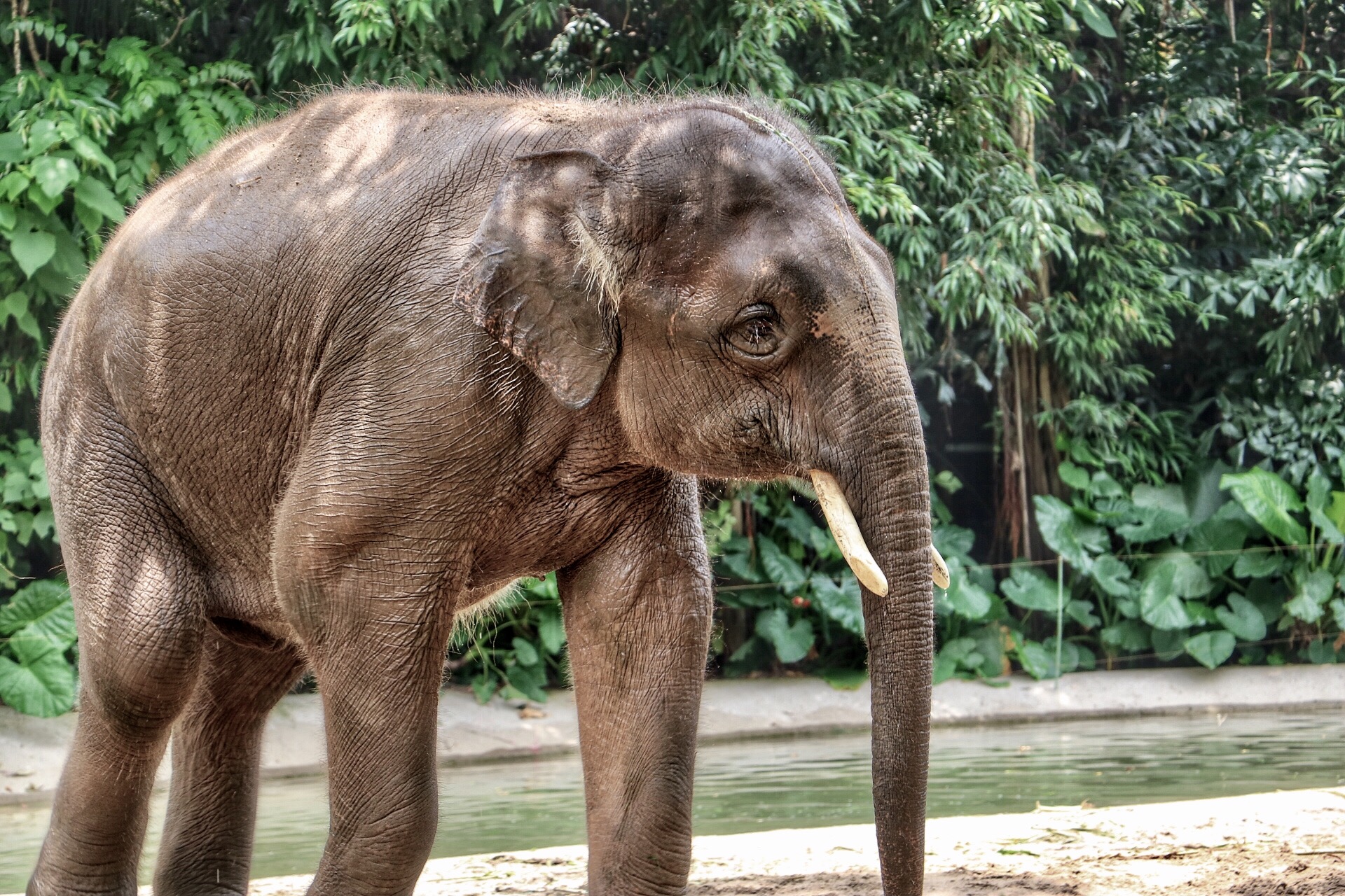 一月广州长隆野生动物园游玩攻略,长隆海洋王国不可错过