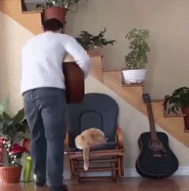 网友说他一个大胆的想法，我真不知道是什么