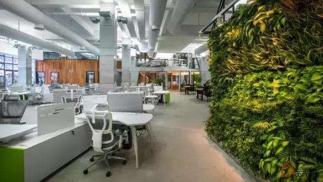 雇主价值与组织氛围研究课题：植物造景如何提升办公室生产力？