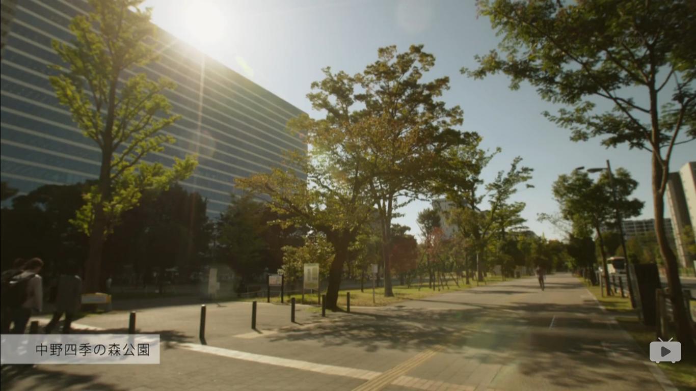 桔梗安利——只想住在吉祥寺吗？（附逛吃指南05)