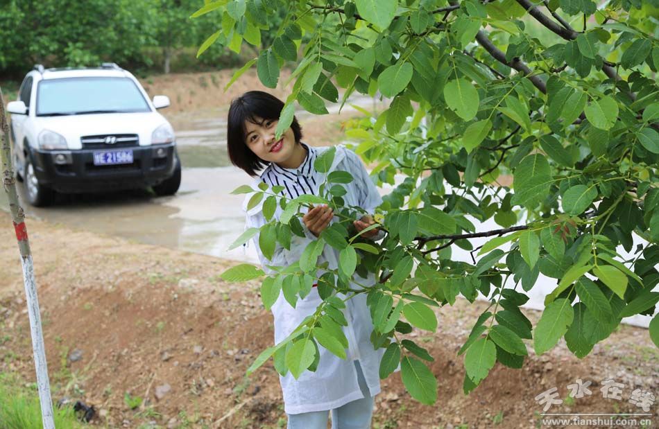 天水乡村田园风景图,天水农村自然美景