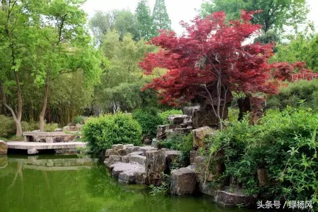 瘦西湖优惠门票多少钱,瘦西湖门票优惠政策最新