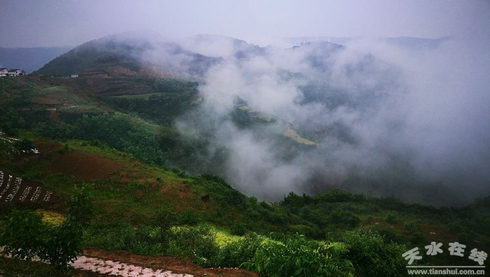 天水乡村田园风景图,天水农村自然美景