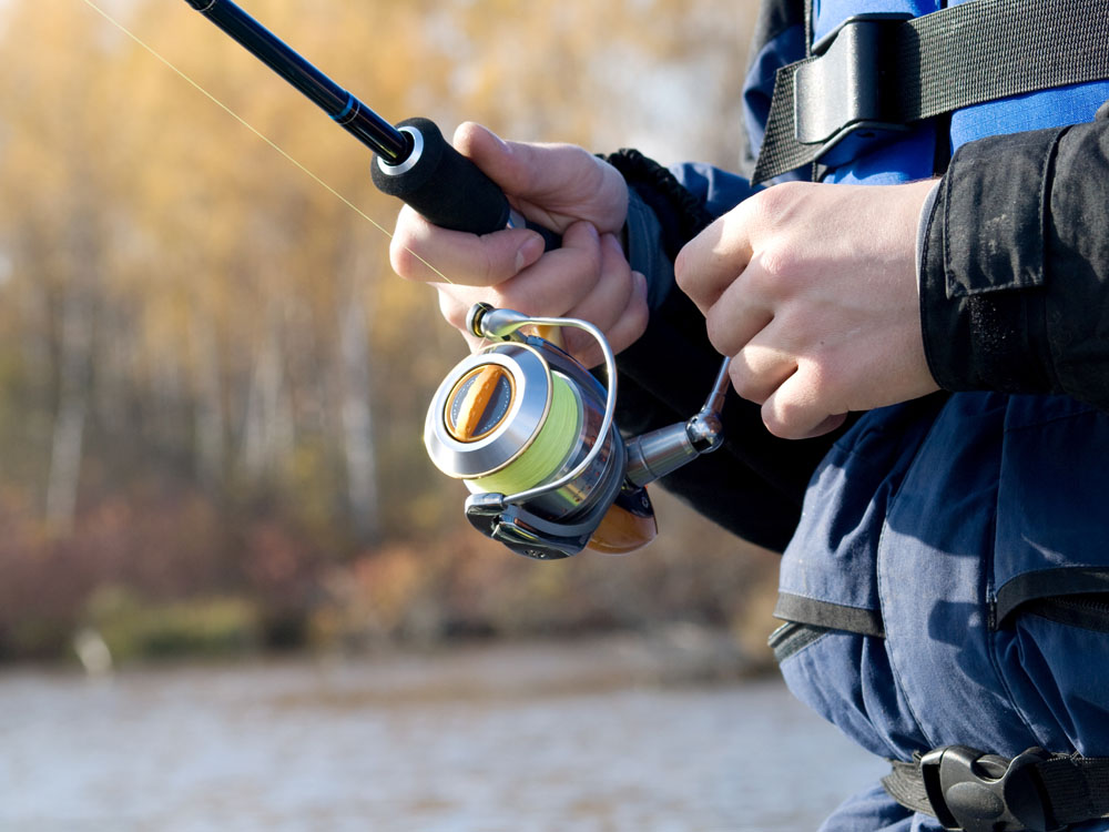 喜欢钓鱼没鱼竿怎么办,喜欢钓鱼但不会钓手把手教程视频