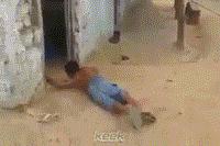 网友说他一个大胆的想法，我真不知道是什么