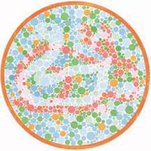 红绿色盲为什么不可以考驾照,患红绿色盲的人可以考驾照吗