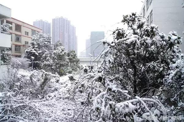 谢谢你昆明,昆十四中学