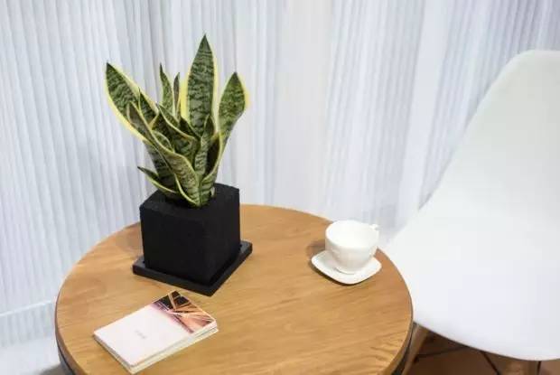 新房如何去味去甲醛小妙招,如何清除新房甲醛味