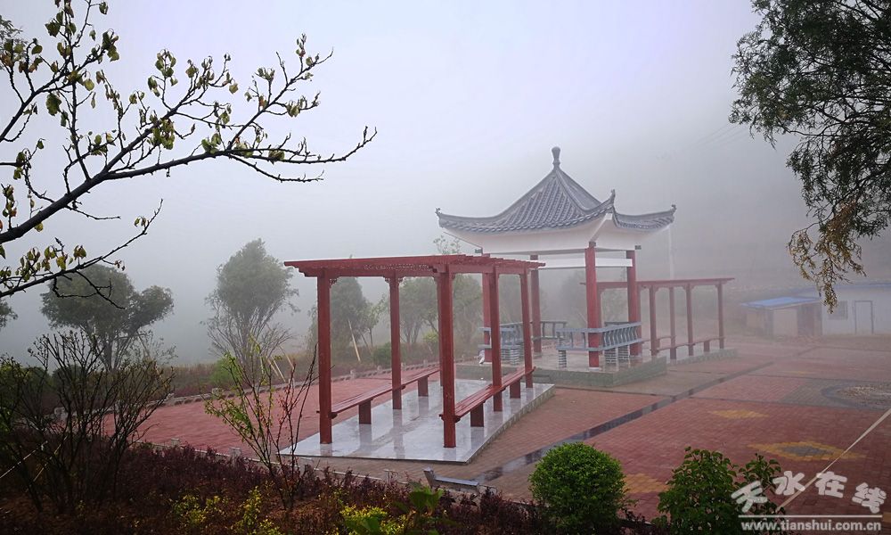 天水乡村田园风景图,天水农村自然美景