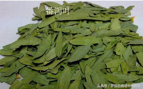 孕期喝中药有什么禁忌和副作用,孕妇中药材用药禁忌有哪些