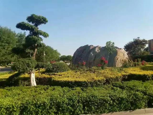 张文德北京,张文德骑行全过程