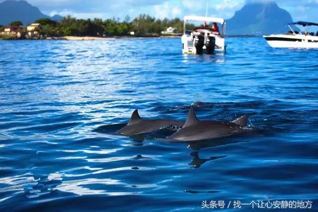 怎样玩遍毛里求斯,到了毛里求斯要怎么玩