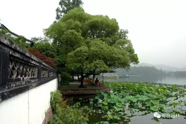 杭州西湖古典园林郭庄,杭州郭庄古风景区
