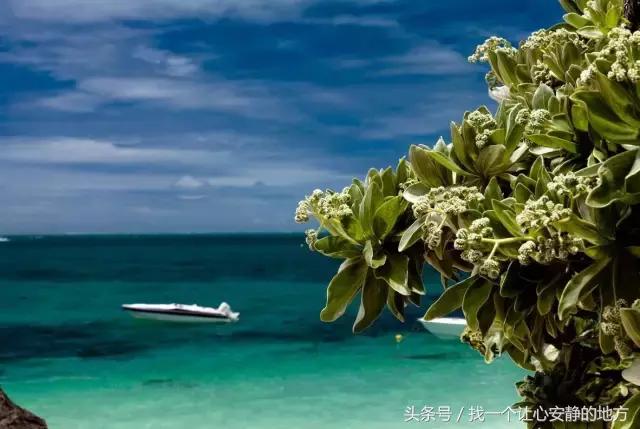 怎样玩遍毛里求斯,到了毛里求斯要怎么玩