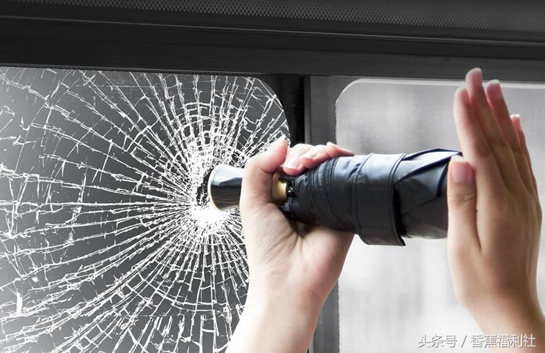 连雨伞都如此有身段,下雨天不带它们出门都说不过去!