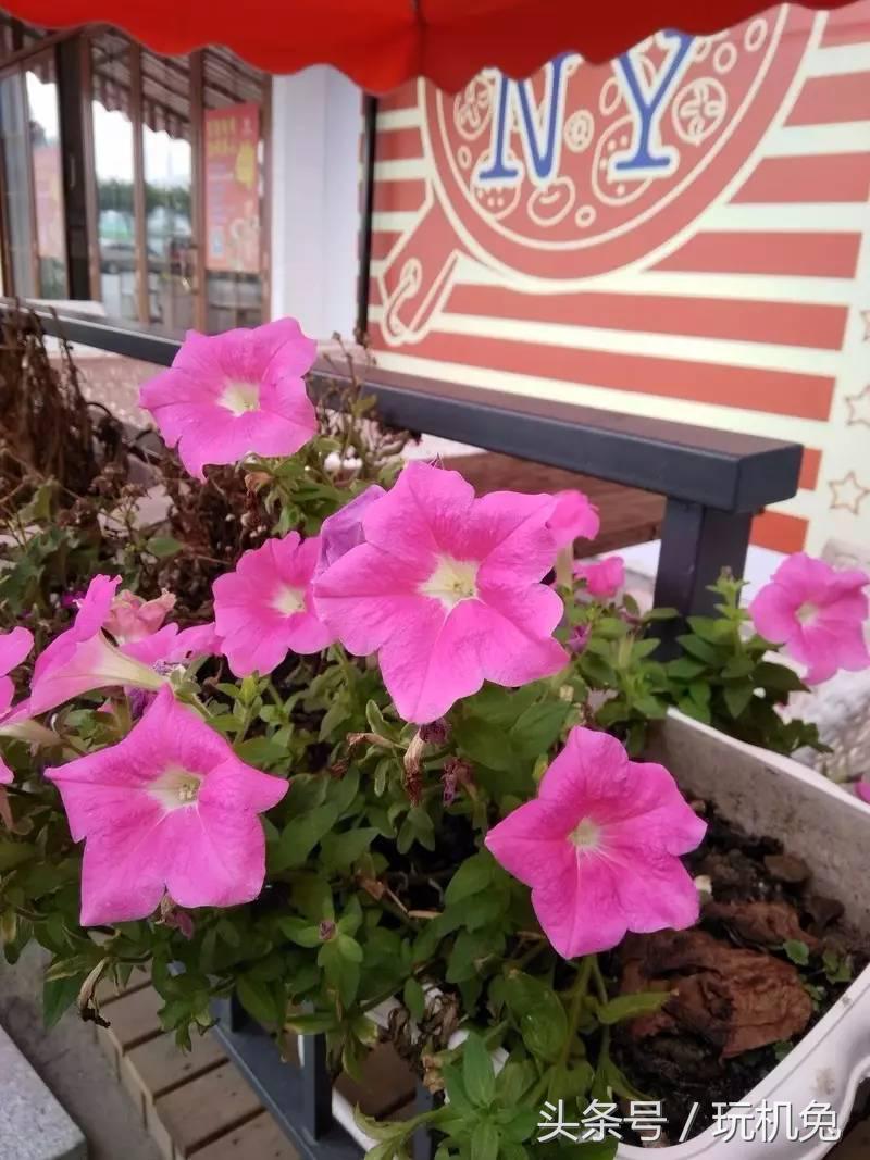 绯栨灉f9,绯栨灉f9鍗囩骇