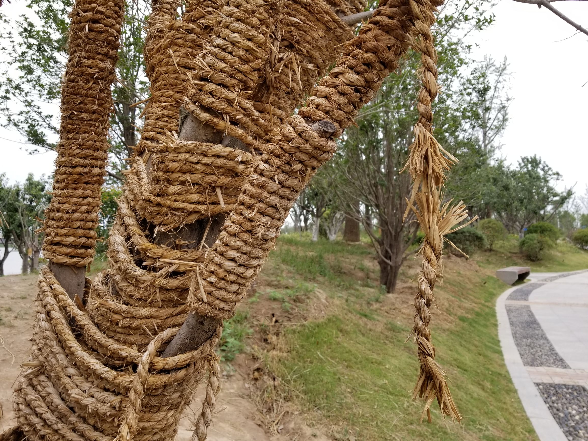 三星盖乐世s8解锁不了,盖乐世s8发布会