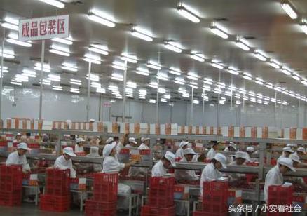 农村孩上完大学在双汇上班，有多少的心酸和无奈？