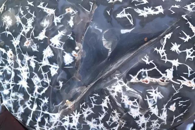 丹麦王妃为什么戴玛瑙珠宝,丹麦王妃常佩戴珠宝品牌