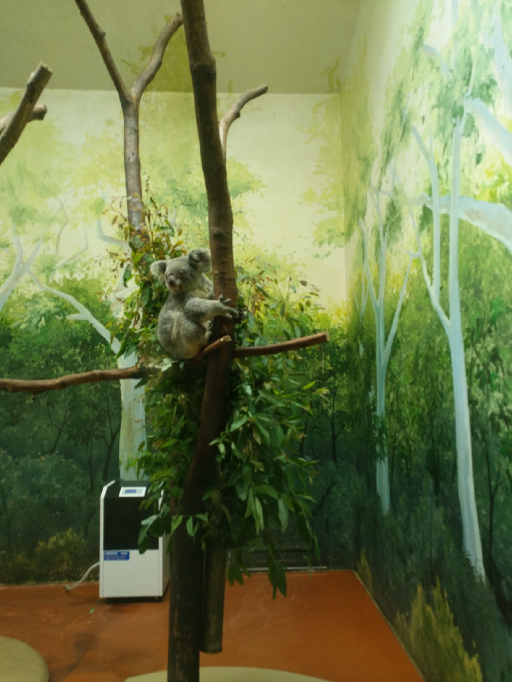 带一岁半宝宝去长隆野生动物园,长隆野生动物园最佳路线图