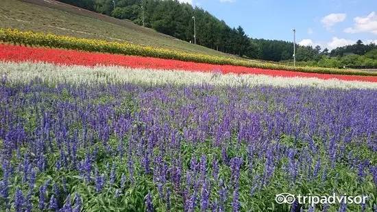 六月不热海边旅游推荐,夏季炎热适合去哪里旅游