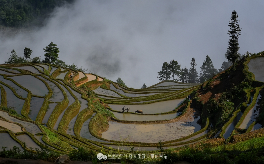 雨过天晴云破出自哪里,雨过天晴云破出处
