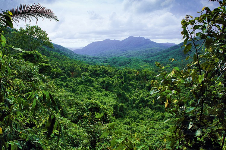世界物种基因库在什么地方,探秘人类基因