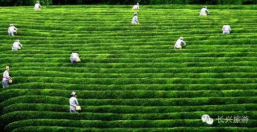 长兴一不小心,湖州长兴成了“中国最美休闲胜地”!